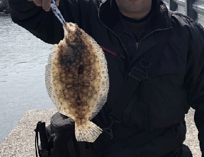 串間東港(都井)