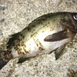 少ないながらもライズあり