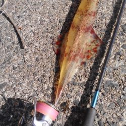 風の止み間に　ヒット