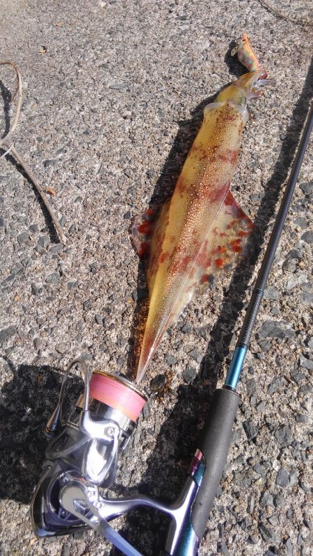 風の止み間に　ヒット