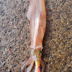 帰ろうとしたら、連発⁉