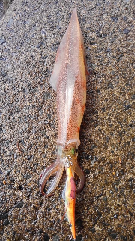 帰ろうとしたら、連発⁉