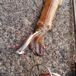 渋ーいけどあったかい♨