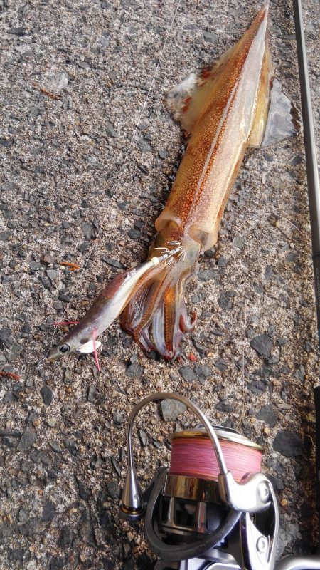 渋ーいけどあったかい♨