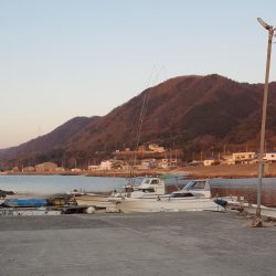 釣～りんぐ　単独