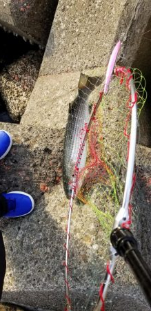 ボラ、ボラ、ボラ、人、人、人