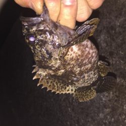 出張先の楽しみ①