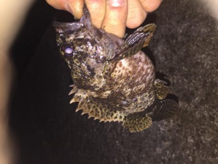 出張先の楽しみ①