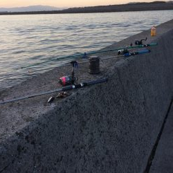 堤防での五目釣り挑戦