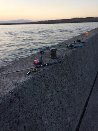 堤防での五目釣り挑戦