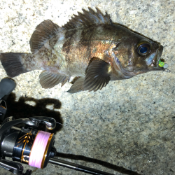 爆風の中の入魂