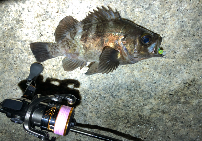 爆風の中の入魂