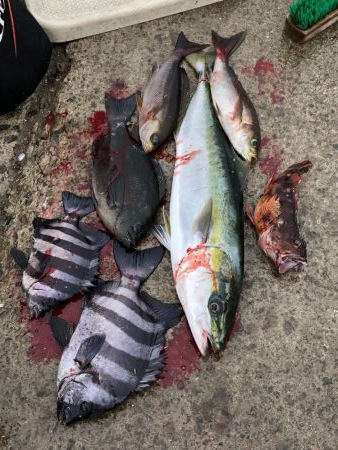 印南庄門丸にて