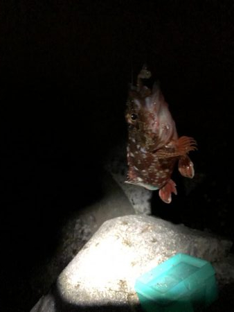 前田お疲れ伝説