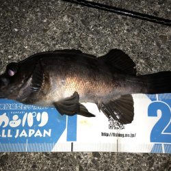 寒空メバリング