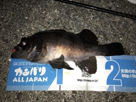 寒空メバリング