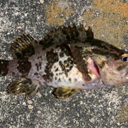 痛恨ラインブレイク