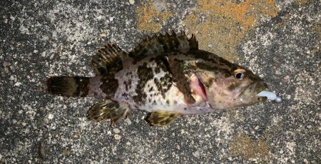 痛恨ラインブレイク