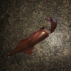 最後の一投で！