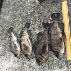 今宵もプラグ縛り