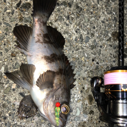 ぼちぼちメバリング