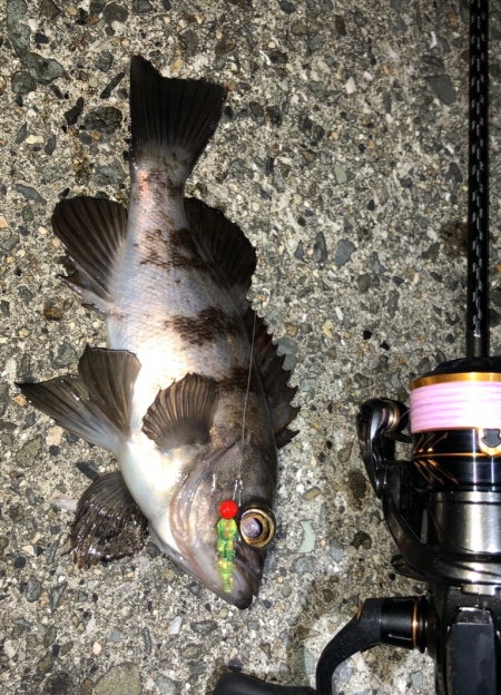 ぼちぼちメバリング