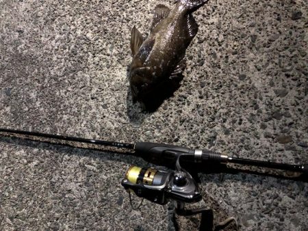 アジングのちメバリング