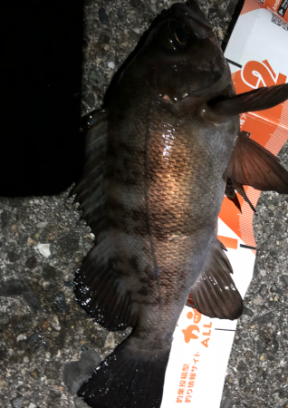 まずまずメバリング