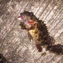 出張先の楽しみ②