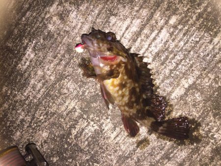 出張先の楽しみ②