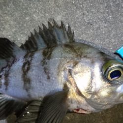 仕事帰りにちょっとだけ