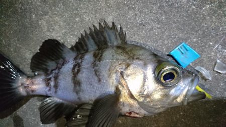 仕事帰りにちょっとだけ