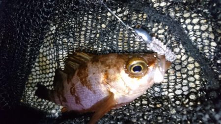 前日のヒットパターンを検証したくて二見人口…