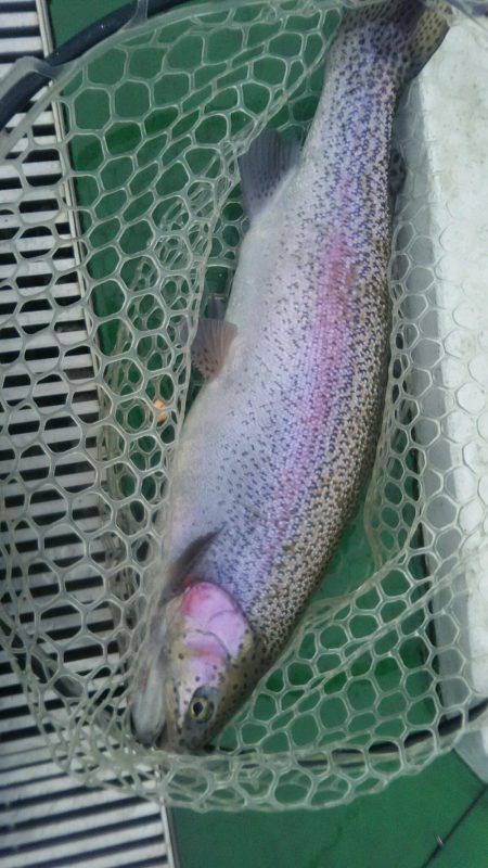 ショートバイト