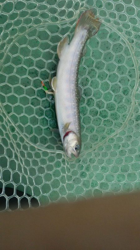 としまえんフィッシングエリア