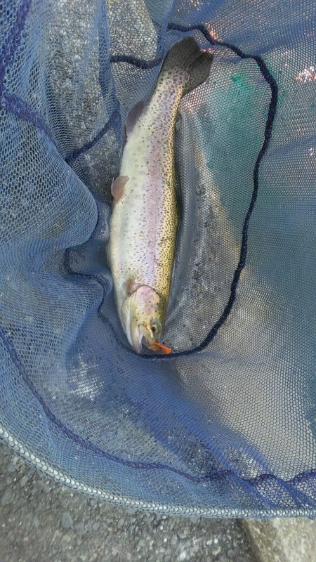 朝霞ガーデン　スティックルアー