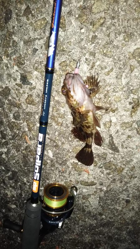 春はまだ告げられず・・・