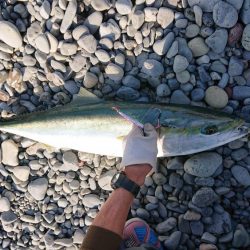 ショアジギング