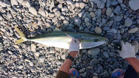 ショアジギング