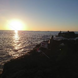 須江でグレ釣り