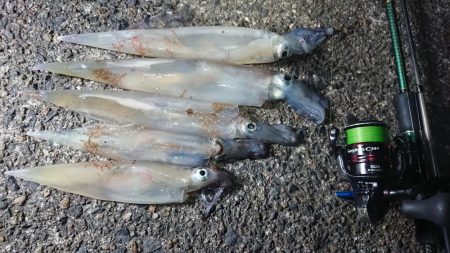 仲間とヤリイカエギング