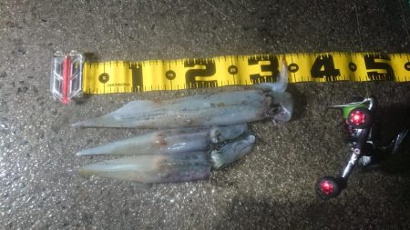 朝のリベンジエギング