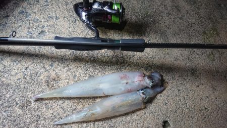 爆風のヤリイカ狙い