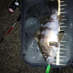 厳しいプラッキング