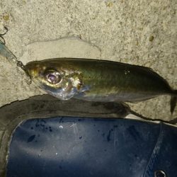 いつもの場所で