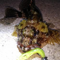 近所へ軽ーく❗️