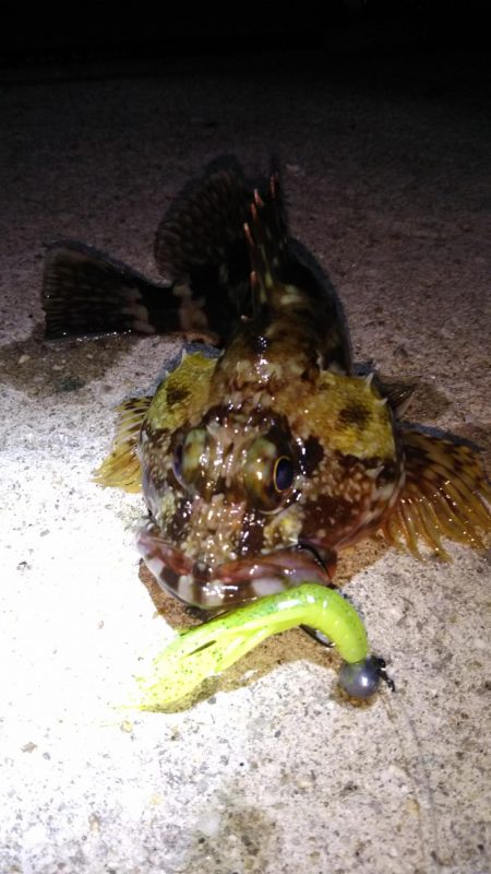 近所へ軽ーく❗️