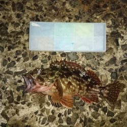 まだまだ寒いな