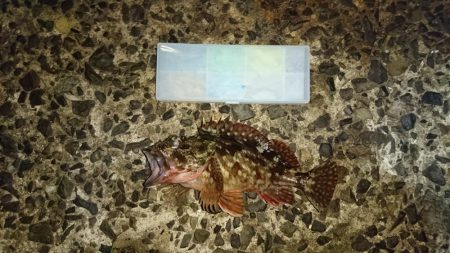 まだまだ寒いな