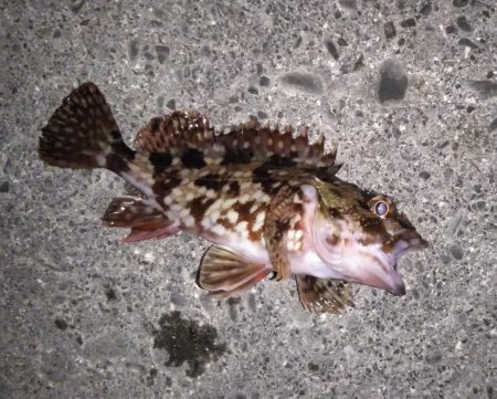 短時間ライトゲーム